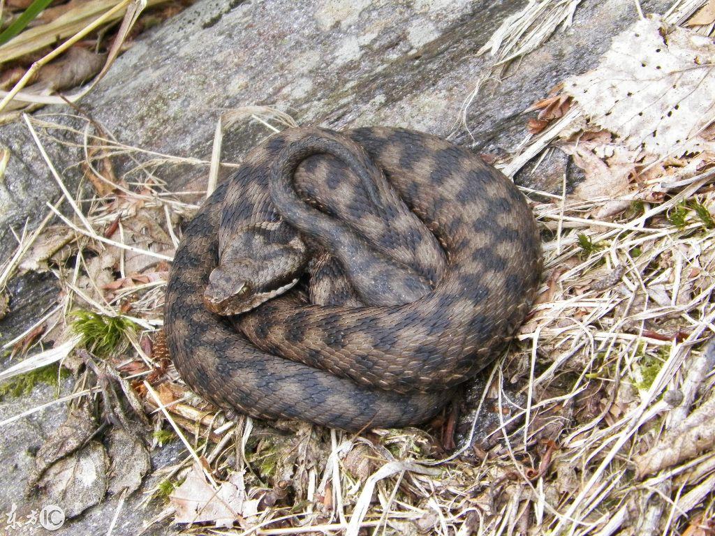 吉林，魅力无限的土地